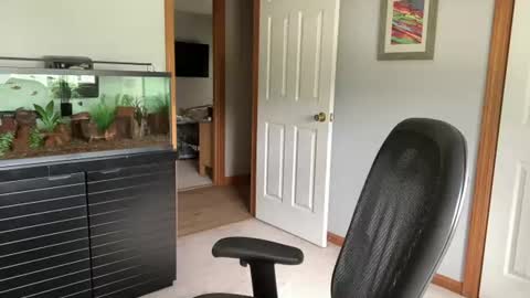 daddyweis online show from June 26, 1:59 pm