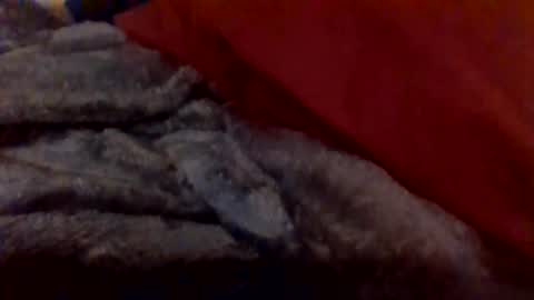 Snapshot of daddywhite88 chatting on January 14, 12:38 am daddywhite88 online show from January 14, 12:38 am