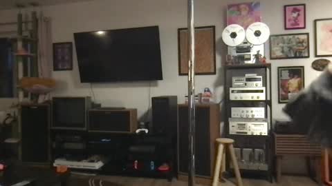 daisymynx online show from April 6, 3:15 am