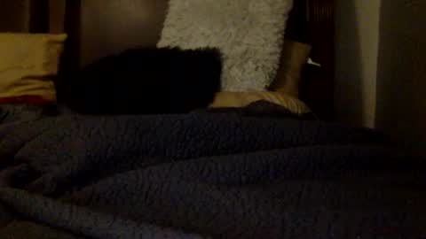 Snapshot of daniellbisous chatting on July 1, 5:31 am daniellbisous online show from July 1, 5:31 am