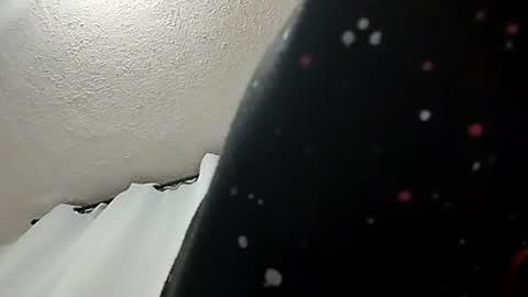 daniel segura online show from July 28, 2:40 am
