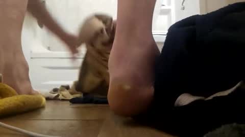 danydevil online show from November 25, 4:56 am