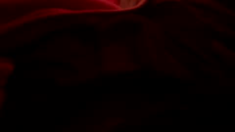 dasquirtmaster online show from March 27, 10:48 am