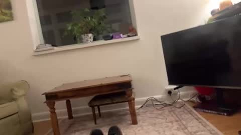 davadoodee online show from January 19, 1:42 am