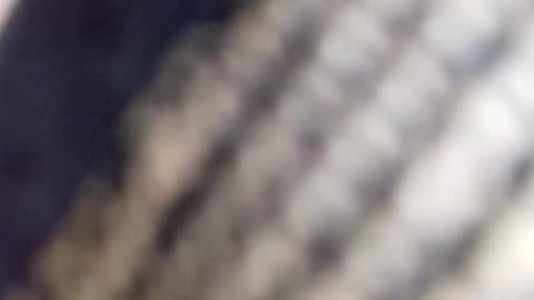 david_stone1969 online show from January 23, 1:56 pm