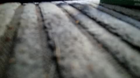 Snapshot of davros8621 chatting on November 2, 1:13 pm davros8621 online show from November 2, 1:13 pm