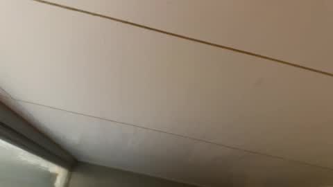 Hornybear online show from January 19, 6:39 am