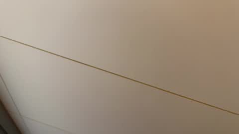 Hornybear online show from February 27, 7:25 pm