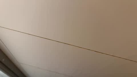 Hornybear online show from April 25, 5:32 am