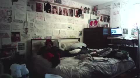 dbeamon92 online show from February 13, 1:56 am