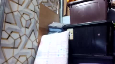 deliciousgirl975840 online show from June 1, 7:15 pm