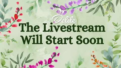 DeLite  Next stream on Wednesday or Thurdsay  online show from June 4, 8:42 am