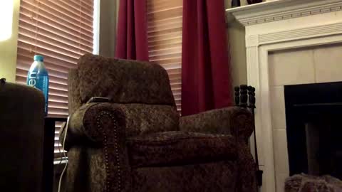 diegodavids online show from January 31, 3:55 pm