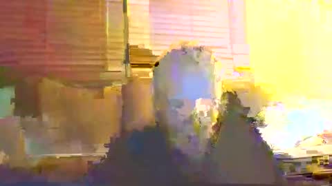 dingleberryjonesmagee online show from October 25, 10:26 pm