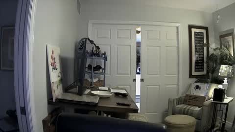 DirtkPitt Fun guy working online show from January 2, 3:05 am