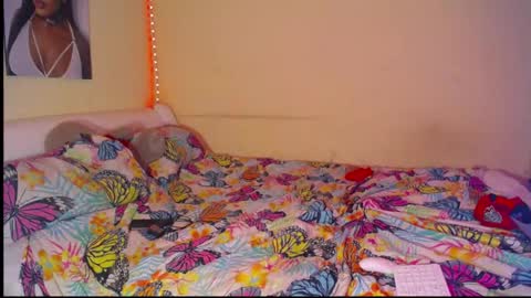 paradise online show from March 21, 1:58 pm