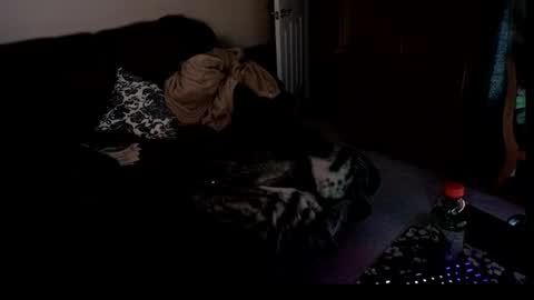 Hansel and Gretle online show from April 4, 2:43 am