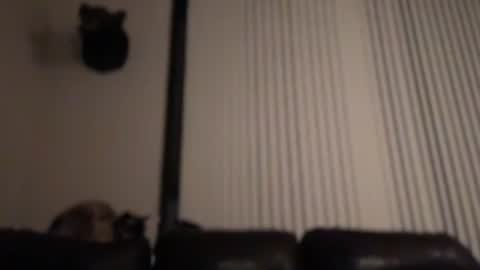 DJ Chaterbate online show from February 4, 8:31 am