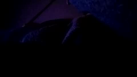 dlov3 online show from March 1, 2:24 am