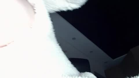 ILONA online show from December 20, 11:54 am