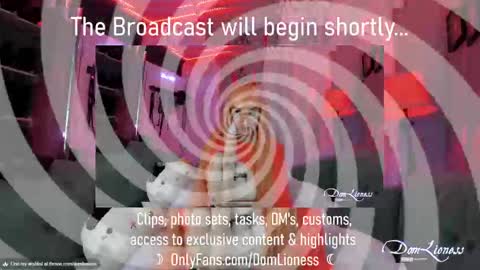Snapshot of domlioness chatting on October 31, 11:17 pm DomLioness online show from October 31, 11:17 pm
