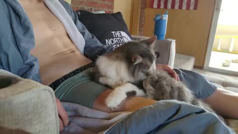 dommepleasemistress online show from March 22, 5:05 pm