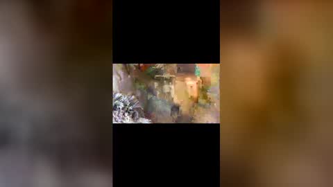 dpbbb online show from April 5, 5:04 am