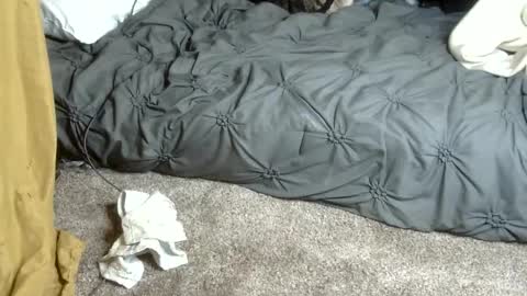 Dreadedted online show from February 13, 4:58 pm