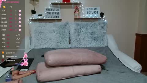 Dreamboy online show from February 22, 9:48 pm