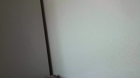 dreammaud333 online show from February 16, 1:27 pm