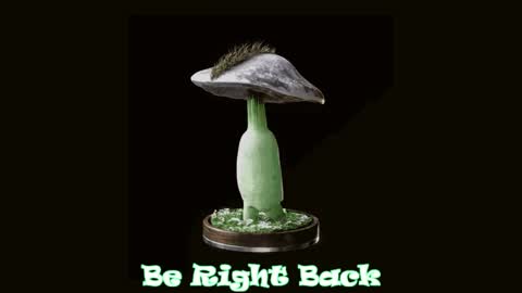 Tara  Sonny online show from April 4, 5:27 am