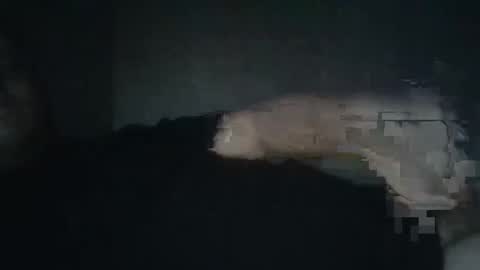 dxjbre online show from January 8, 9:50 pm