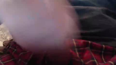 Snapshot of eat_a_peach2 chatting on March 4, 11:38 am eat_a_peach2 online show from March 4, 11:38 am