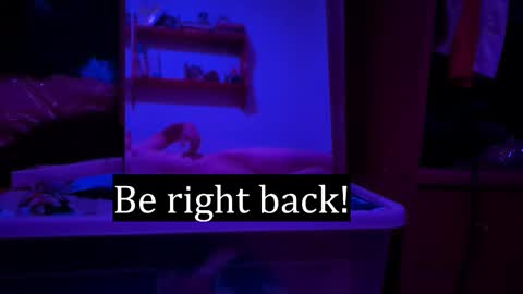 Alex online show from February 7, 12:25 am