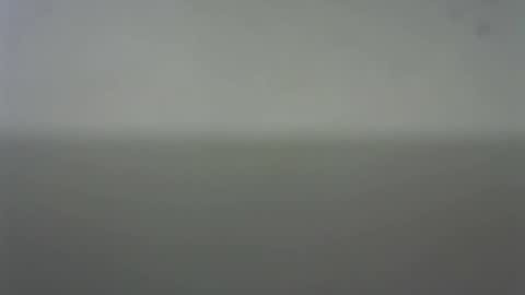 EIder online show from February 22, 3:51 am