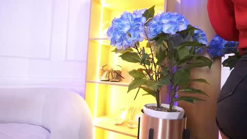 Elasummeer online show from January 14, 12:00 pm