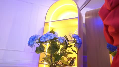 Elasummeer online show from January 15, 11:59 am