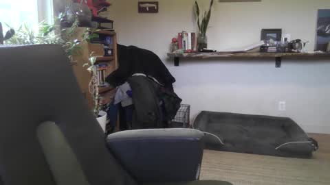 fox online show from February 22, 7:01 pm