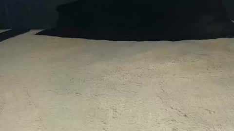 elgsslt online show from April 21, 11:05 am