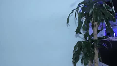 Emma online show from February 22, 2:30 pm