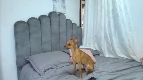 emma_saenz01 online show from February 12, 8:37 pm