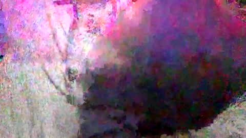 Batman online show from January 18, 2:33 pm