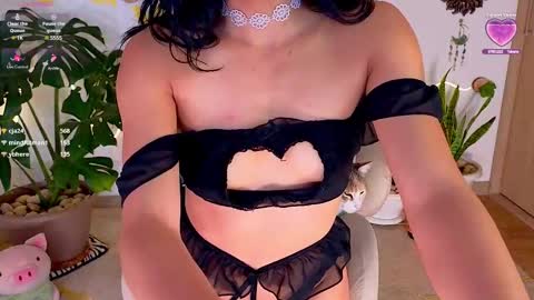 Im Eve or Chelle Next Stream 191224  online show from March 8, 1:06 am