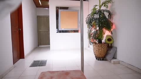 evelyn evelyn online show from April 3, 7:01 pm