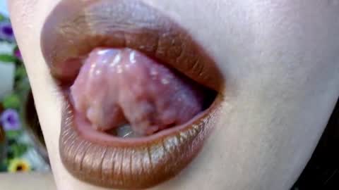 Snapshot of evolethmontenegros chatting on December 29, 2:27 am Evoleth online show from December 29, 2:27 am