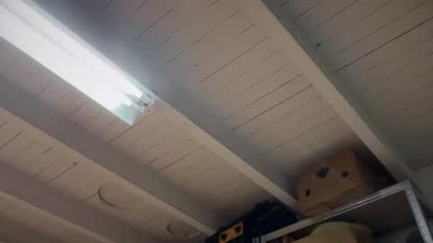 fabius1995 online show from March 22, 7:50 pm