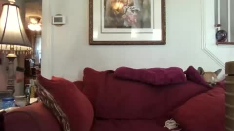 fairmount31 online show from October 21, 1:56 pm