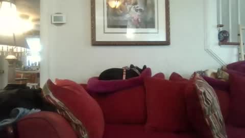 fairmount31 online show from November 7, 7:25 pm