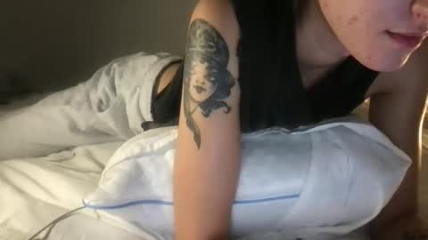 Snapshot of fakenshitsis chatting on January 12, 3:01 am Haydee online show from January 12, 3:01 am