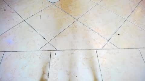 fartech online show from September 28, 2:44 pm